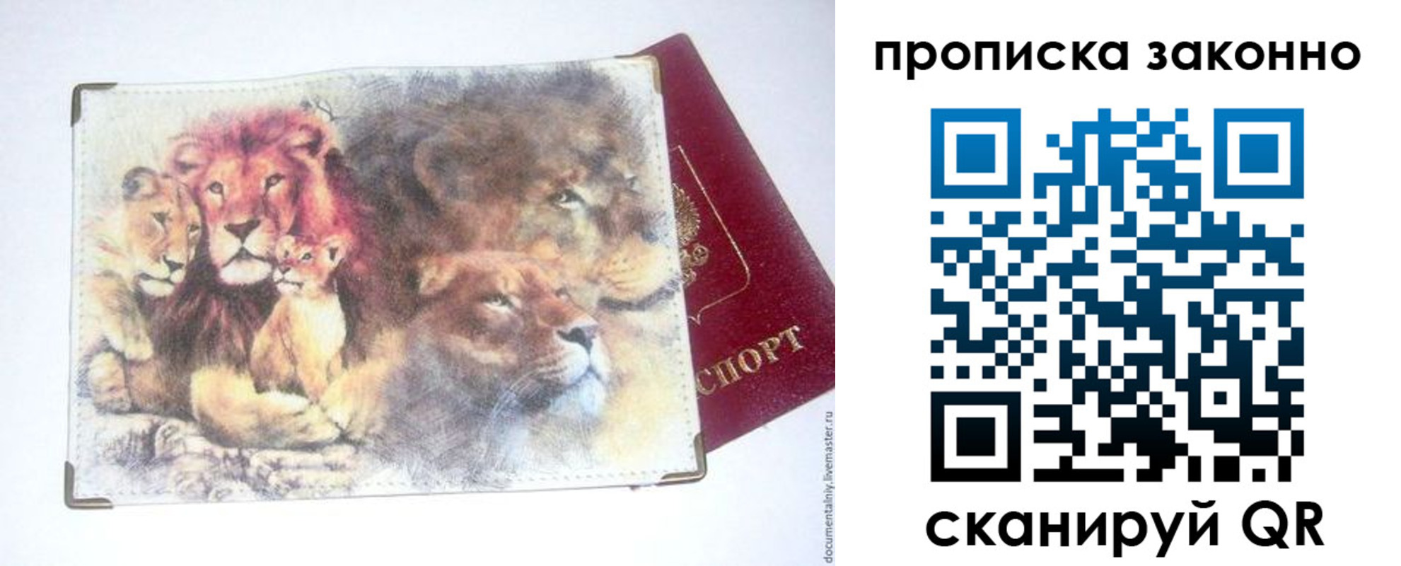 прописка от собственника в Вытегре